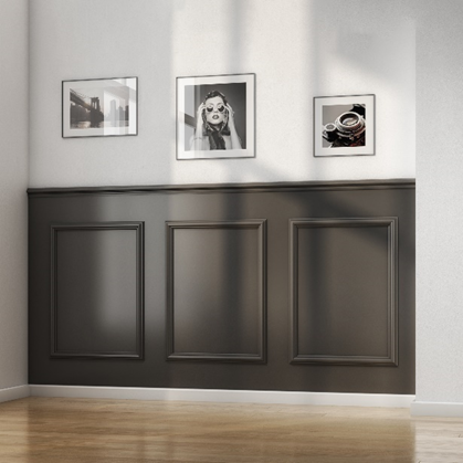 Dado wall panelling kit on wall