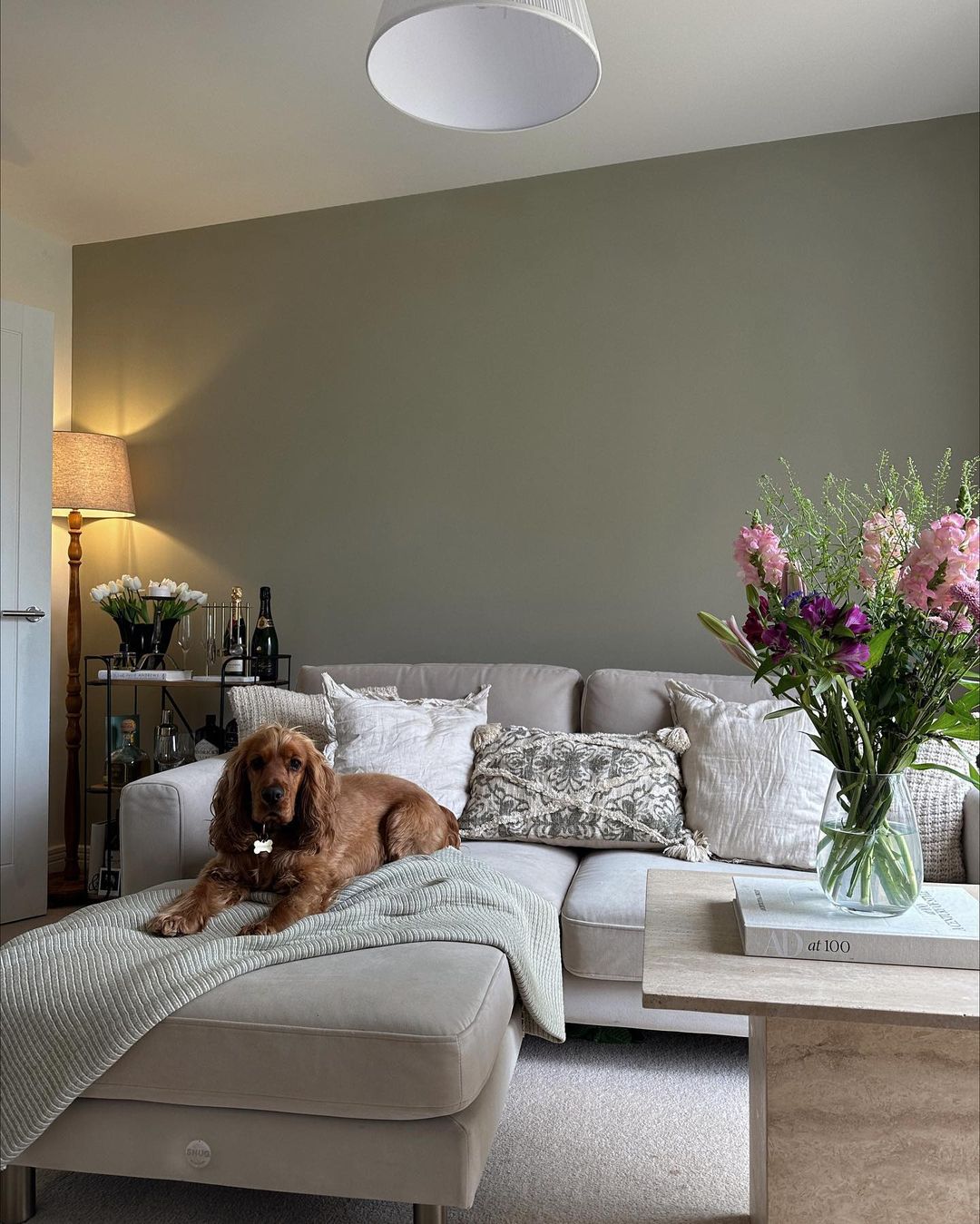 homewithmegan_341404021_987777415542172_771659946674541290_n