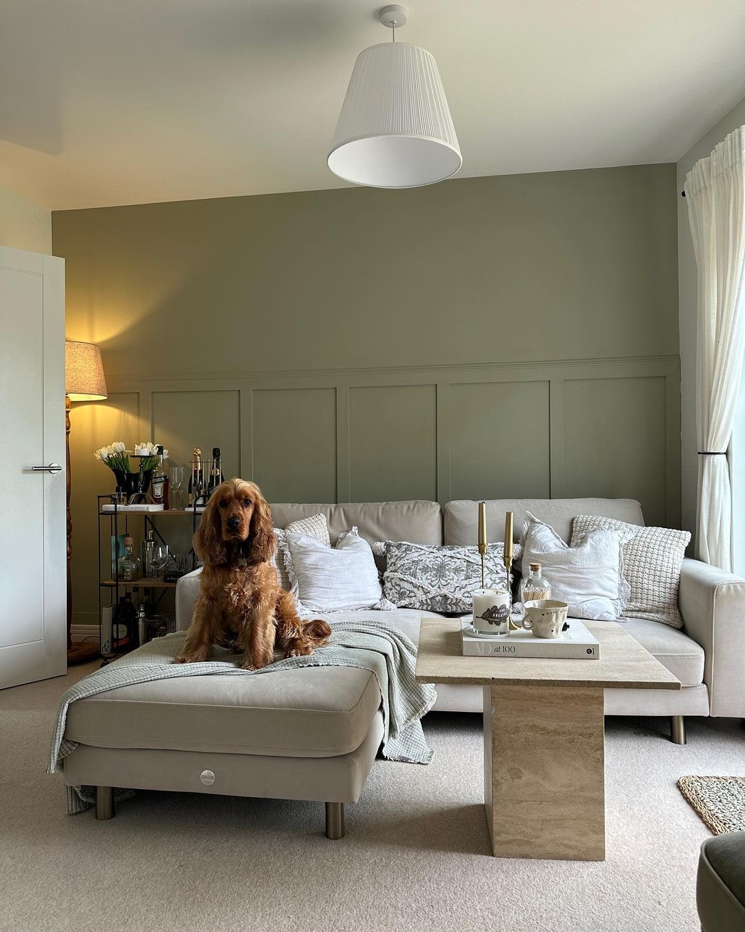 homewithmegan_359050147_6664869813558530_4268436503100115085_n